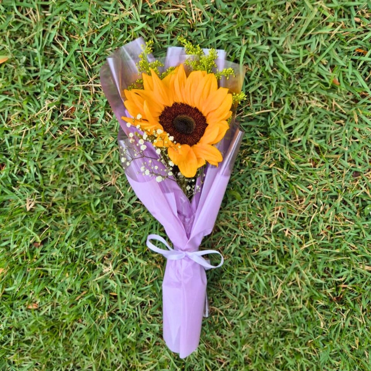 Girassol Solit�rio com Gypsophila e Folhagens